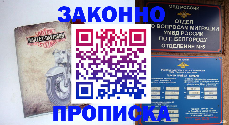 прописка для школы в Коряжме